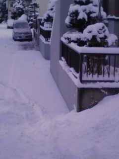 今朝、雪景色の町